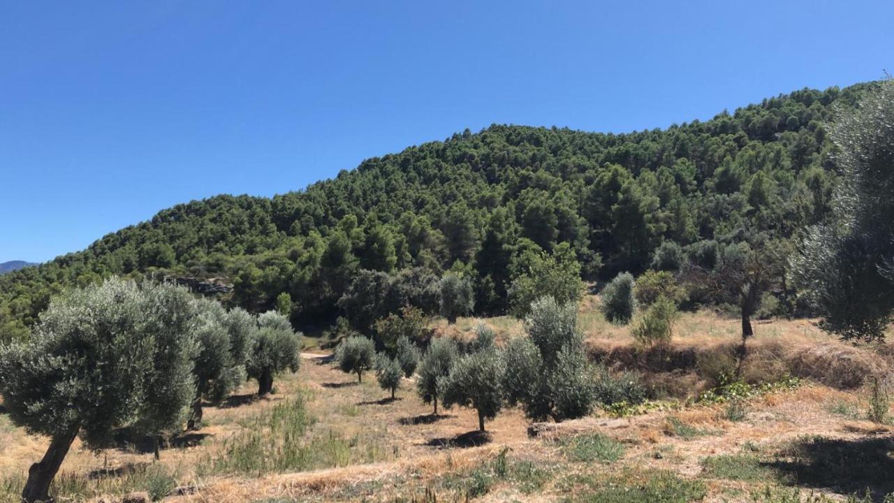 Masia Mas De La Creu バルデロブレス エクステリア 写真